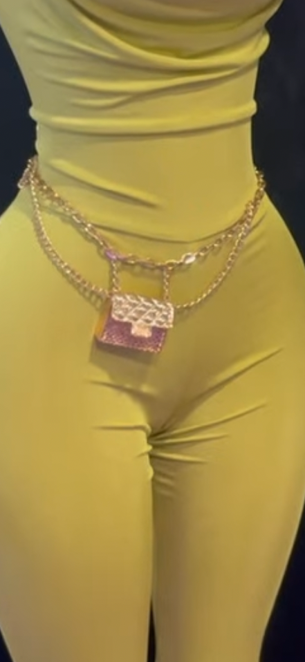 Purse Waist Chain